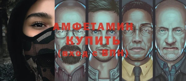 стаф Медногорск