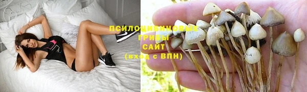 винт Магас