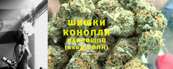 стаф Медногорск