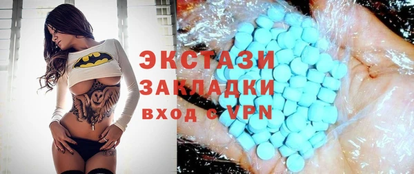 стаф Медногорск