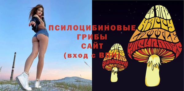 стаф Медногорск